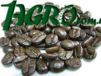 1agro.com.ua
