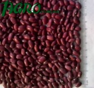 1agro.com.ua