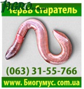 1agro.com.ua