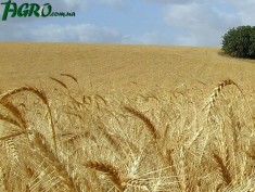 1agro.com.ua