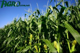 1agro.com.ua