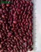 1agro.com.ua