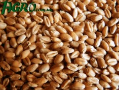 1agro.com.ua