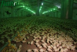 1agro.com.ua
