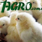 1agro.com.ua