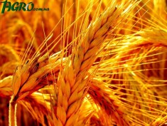 1agro.com.ua