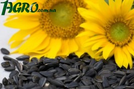 1agro.com.ua