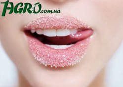 1agro.com.ua