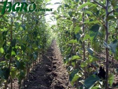 1agro.com.ua