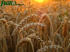 1agro.com.ua