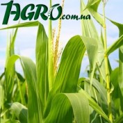 1agro.com.ua