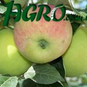 1agro.com.ua