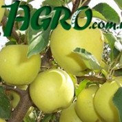 1agro.com.ua