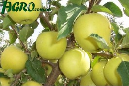 1agro.com.ua
