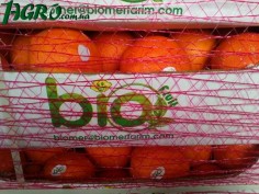 1agro.com.ua