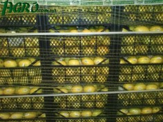 1agro.com.ua