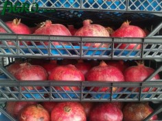 1agro.com.ua