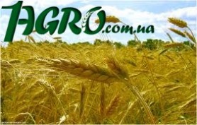 1agro.com.ua