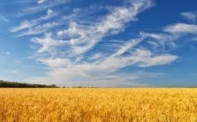 1agro.com.ua