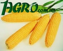 1agro.com.ua