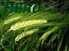 1agro.com.ua