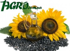 1agro.com.ua