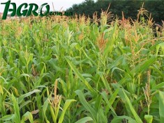 1agro.com.ua