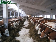 1agro.com.ua