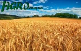 1agro.com.ua