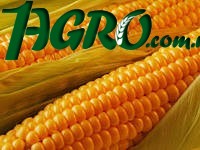 1agro.com.ua