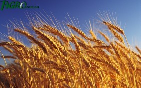 1agro.com.ua