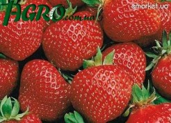 1agro.com.ua