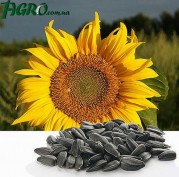 1agro.com.ua