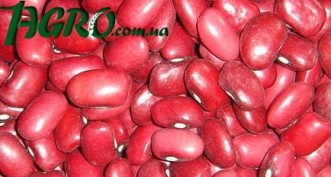 1agro.com.ua