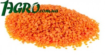 1agro.com.ua