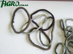 1agro.com.ua