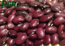 1agro.com.ua