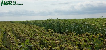 1agro.com.ua