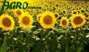 1agro.com.ua