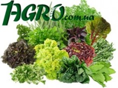 1agro.com.ua