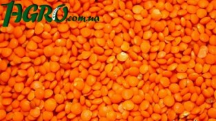 1agro.com.ua