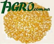 1agro.com.ua