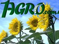 1agro.com.ua