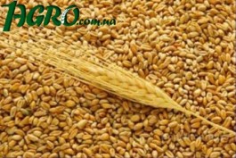 1agro.com.ua