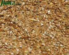 1agro.com.ua