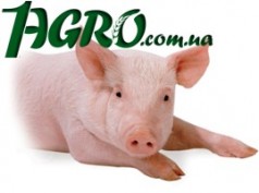 1agro.com.ua