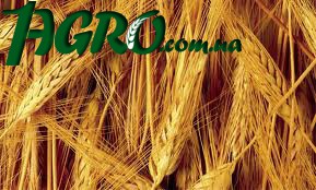 1agro.com.ua
