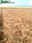 1agro.com.ua