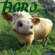 1agro.com.ua