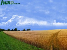 1agro.com.ua